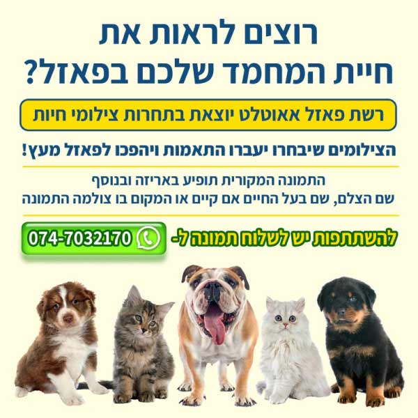 תחרות צילומי חיות